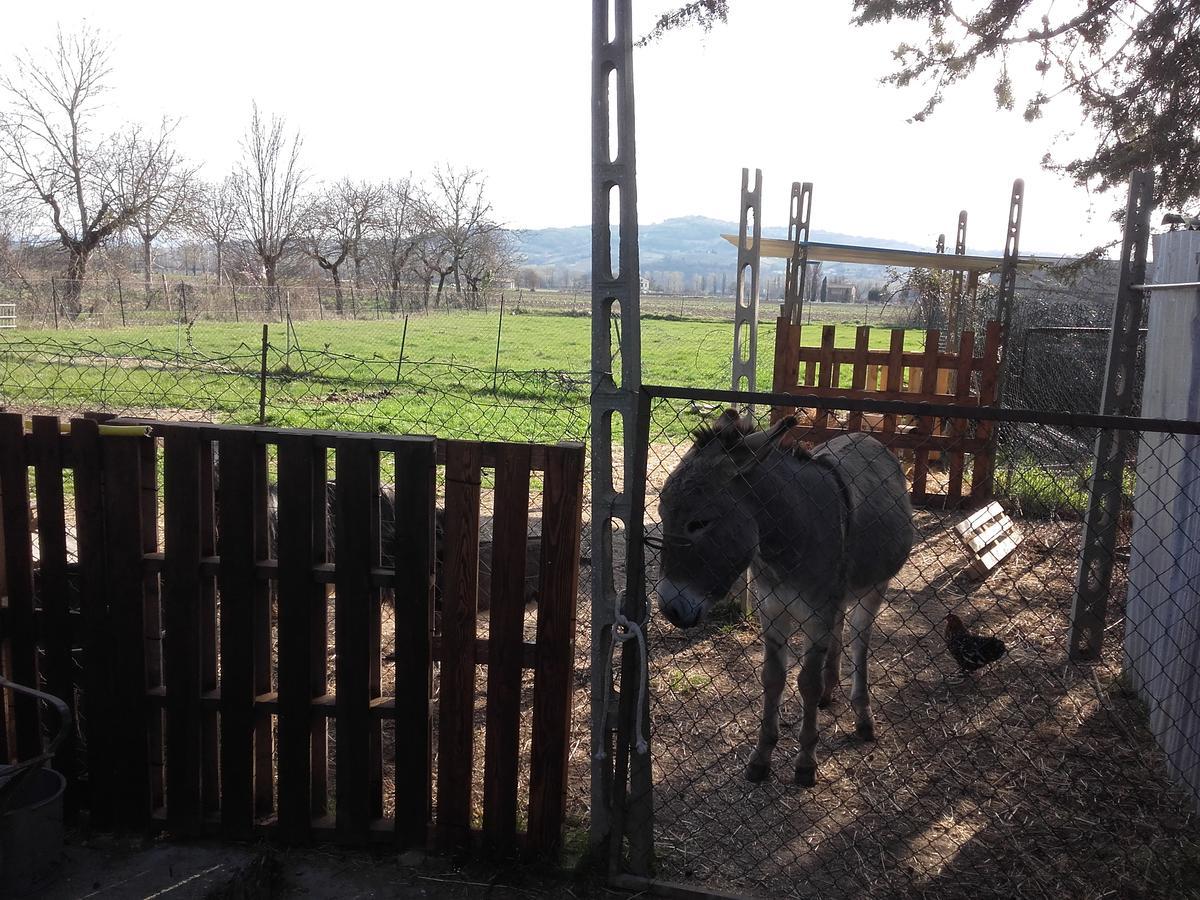 B&B La Quiete Foligno Zewnętrze zdjęcie