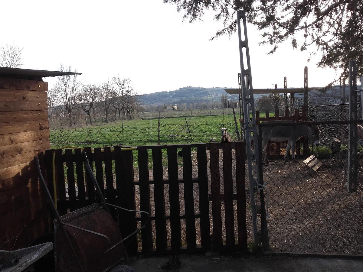 B&B La Quiete Foligno Zewnętrze zdjęcie