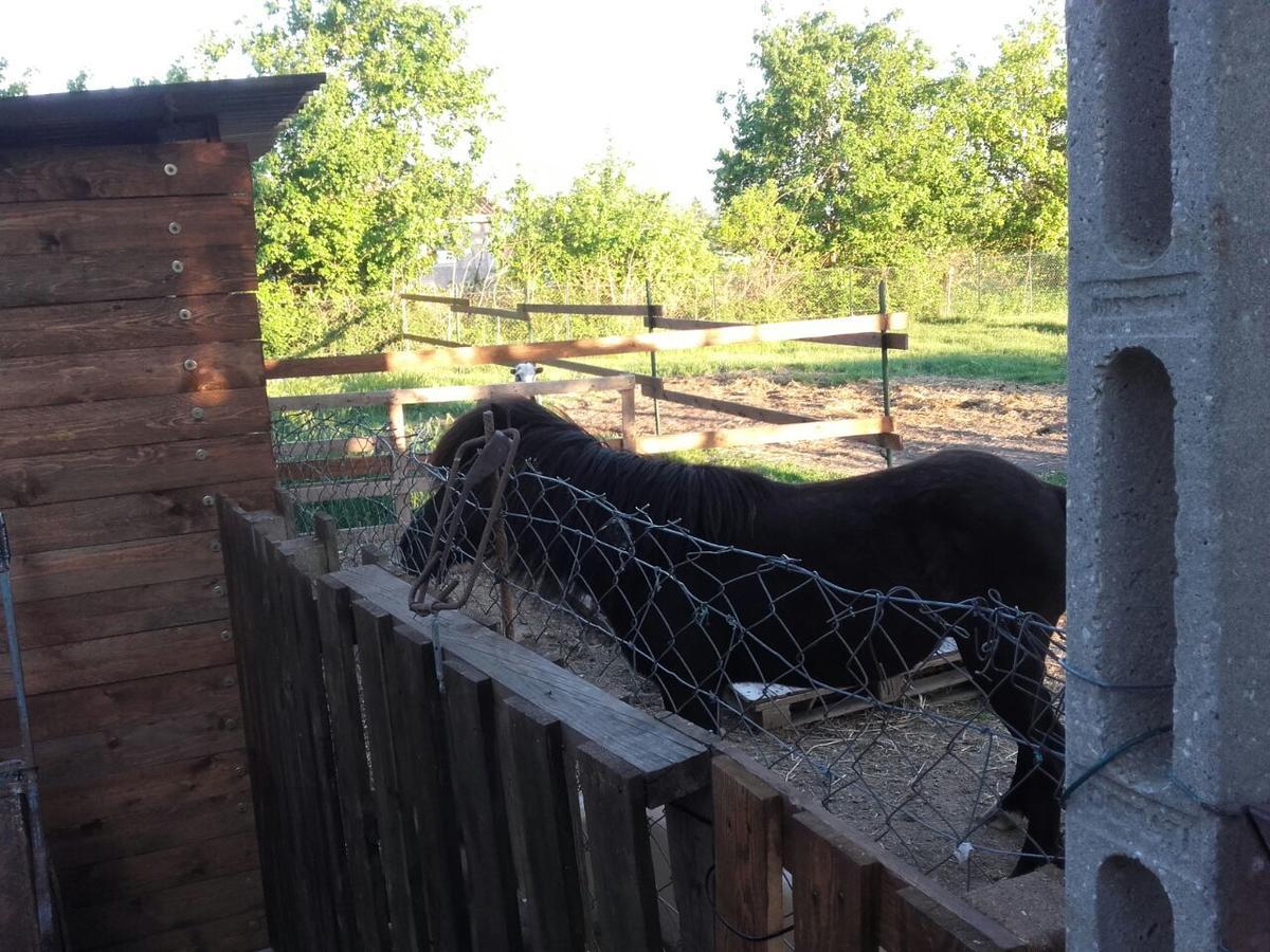 B&B La Quiete Foligno Zewnętrze zdjęcie